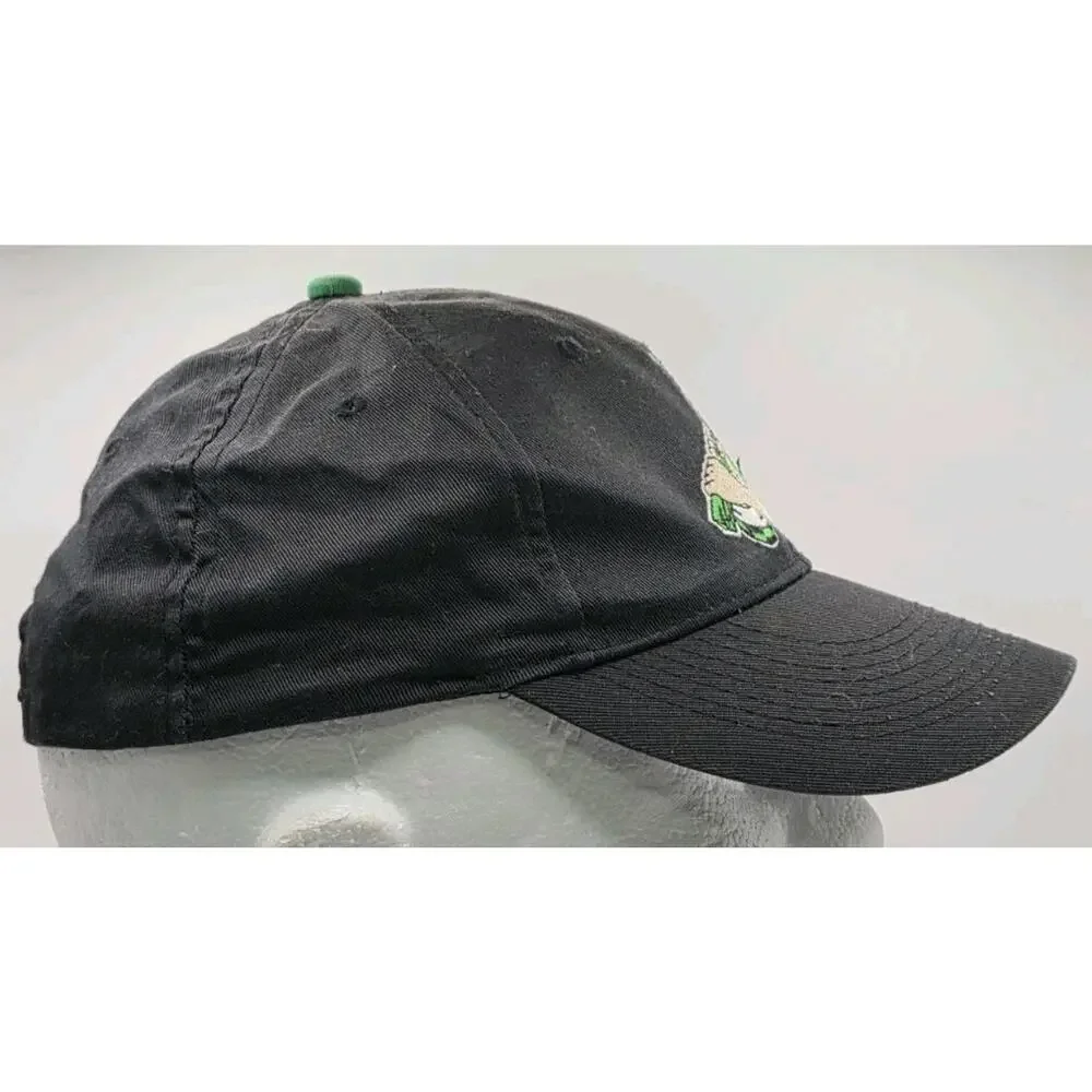 Vintage MiLB CLINTON LUMBER KINGS Minor League Youth SnapBack HAT Outdoor Caps‎